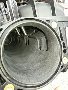 LSXRT Runner Dimensions-2zpo2db.jpg