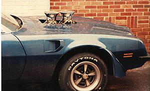 First Cam?-h3hxzv9.jpg