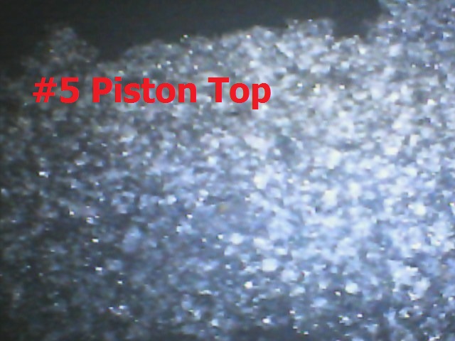 Name:  DIGI0081_zpsfruwvmm9.jpg
Views: 127
Size:  84.3 KB