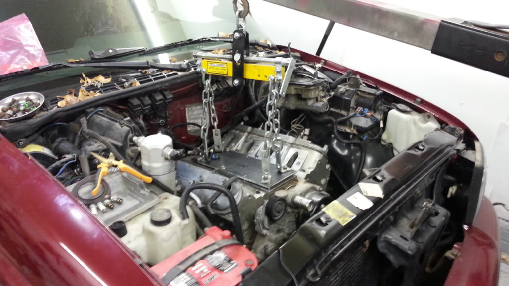 Name:  20130211_123505_zps3579ba47.jpg
Views: 322
Size:  103.1 KB