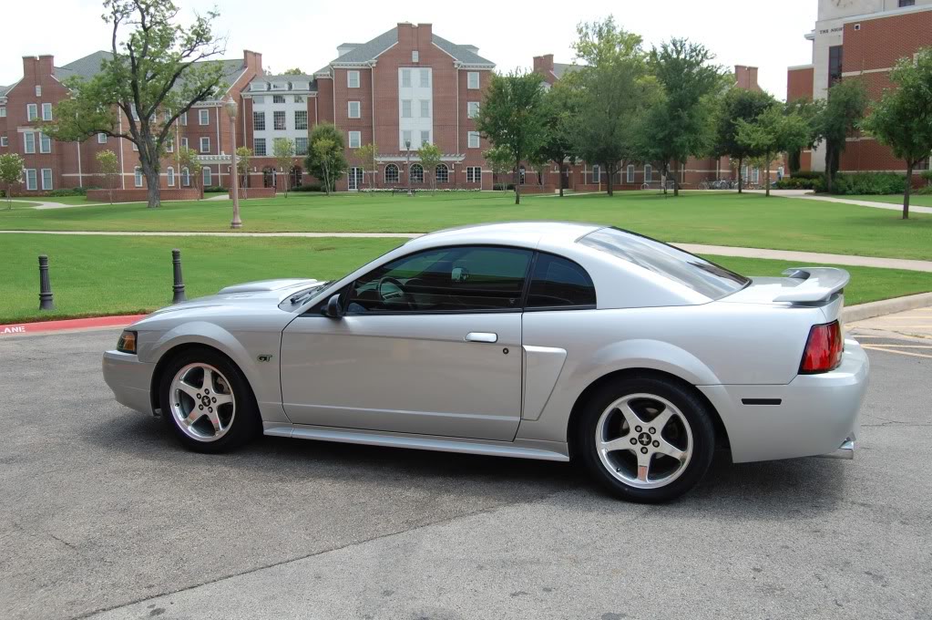 Name:  DSC_0073.jpg
Views: 31
Size:  158.3 KB