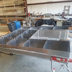 Fresh meat from coastal NC-tank-3.jpg