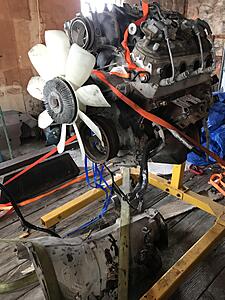 Newbie here-nhrq2at.jpg