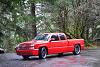 New to PT from NW Washington-dsc_0351.jpg