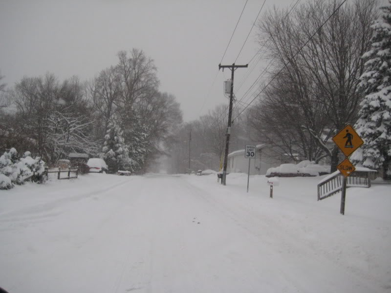 Name: 001-6.jpg
Views: 832
Size: 65.2 KB