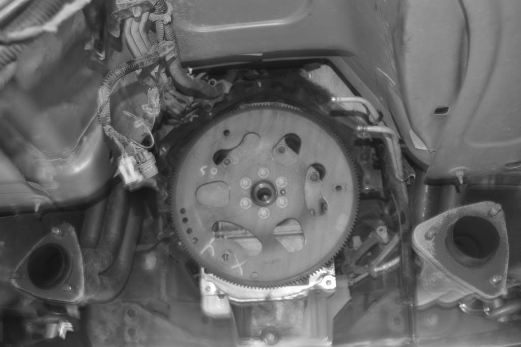 Name:  DSC_0740-1.jpg
Views: 48
Size:  55.6 KB