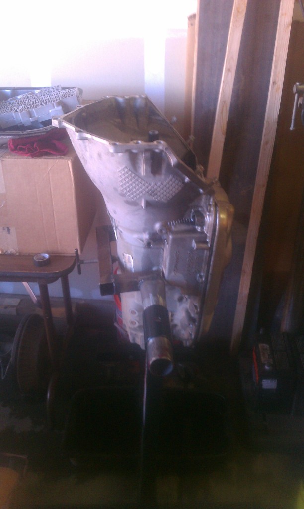 Name:  IMAG0353.jpg
Views: 14
Size:  124.3 KB