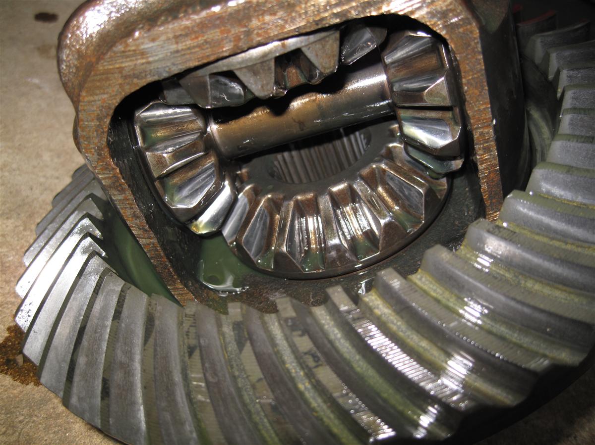 Name:  IMG_3325Custom.jpg
Views: 130
Size:  156.9 KB