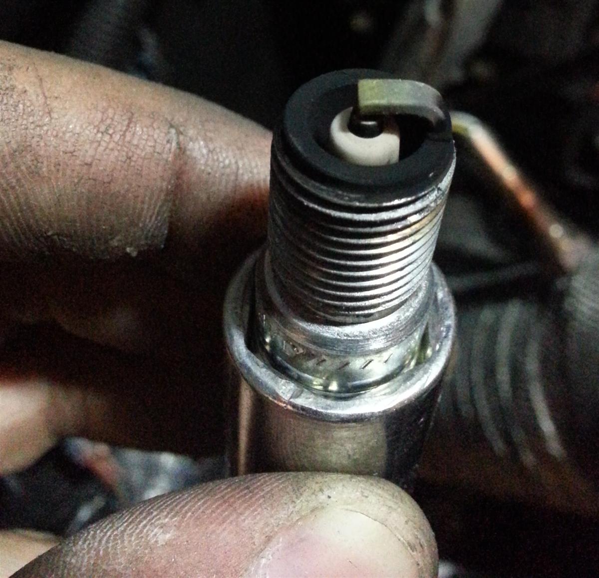 Name:  20120827_192335Custom.jpg
Views: 49
Size:  169.2 KB