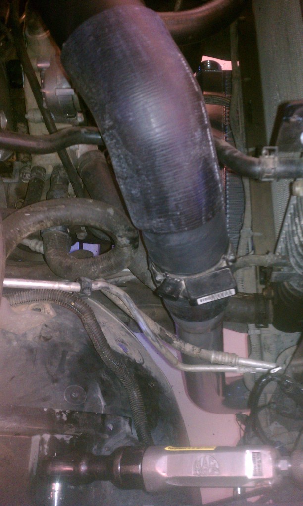 Name:  IMAG0271.jpg
Views: 46
Size:  180.0 KB