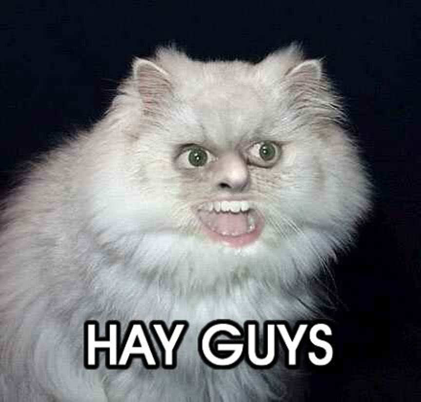 Name:  9.jpg
Views: 1475
Size:  56.3 KB