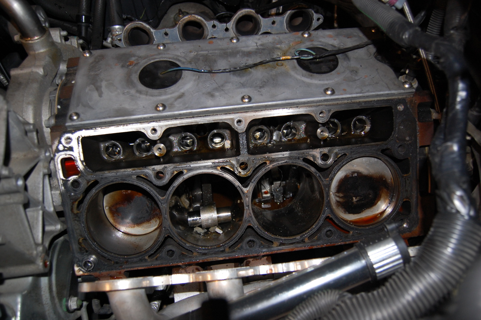 Name:  DSC_0104-1.jpg
Views: 1937
Size:  415.7 KB