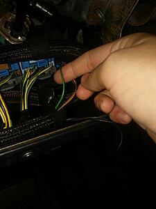 Whistle pig build-d4ackmr.jpg