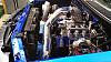 Project Blue Beast-10688041_855053844544777_3394943257306634445_o.jpg