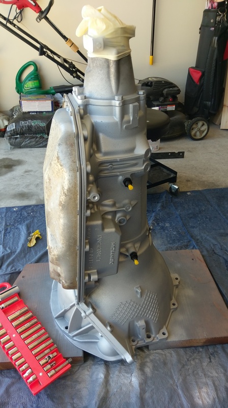 Name:  IMAG2430_zpsqdwrnuwp.jpg
Views: 251
Size:  152.1 KB