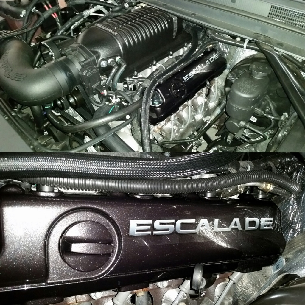 Name:  covers%202.jpg
Views: 261
Size:  441.1 KB