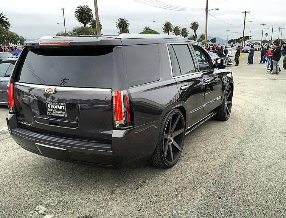 Name:  rearshot.jpg
Views: 929
Size:  156.5 KB