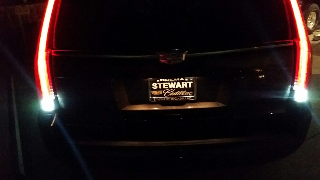 Name:  20160219_222515.jpeg
Views: 500
Size:  285.3 KB