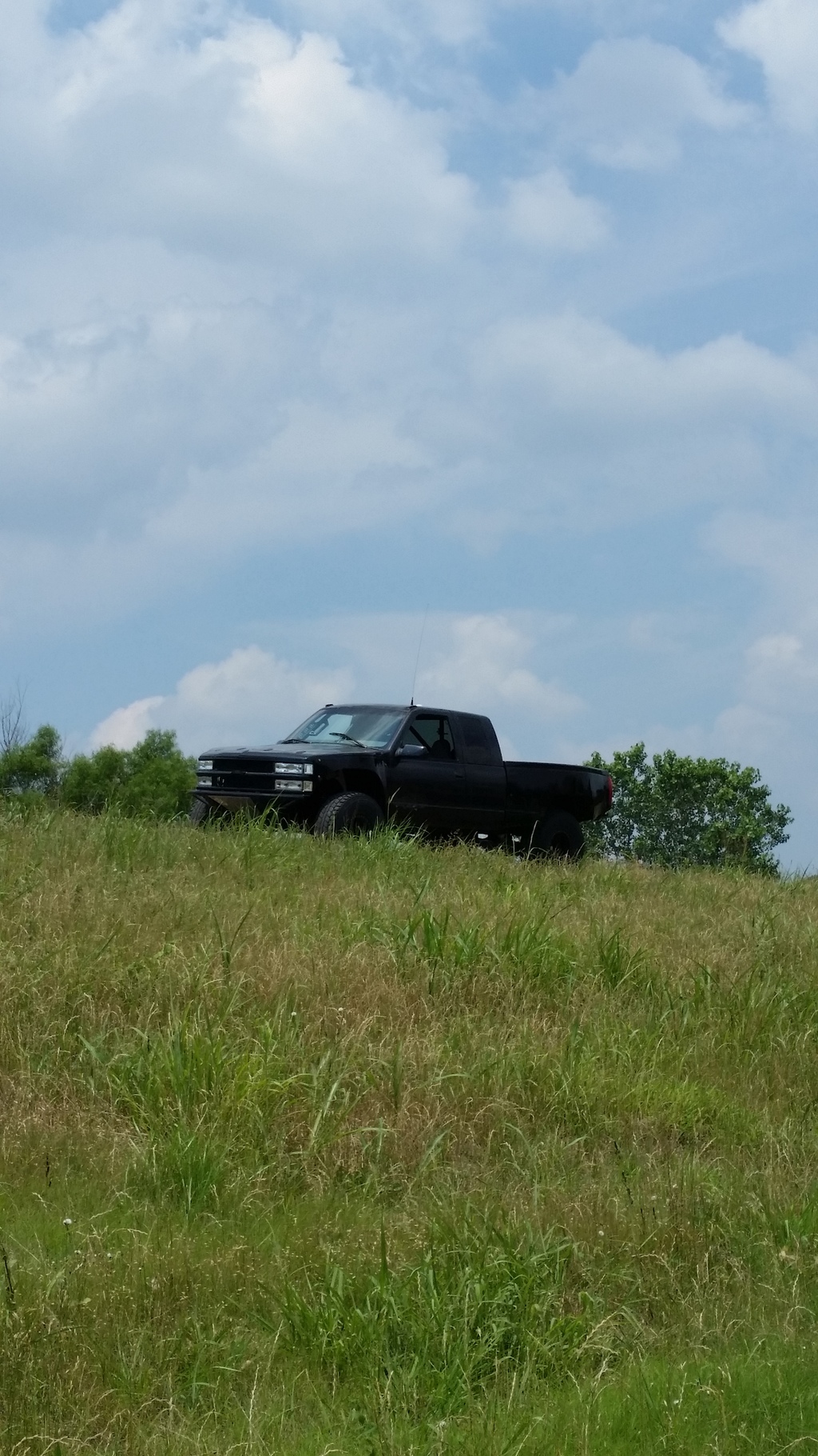 Name:  front%20yard2_zpsfityam4w.jpg
Views: 1501
Size:  672.3 KB