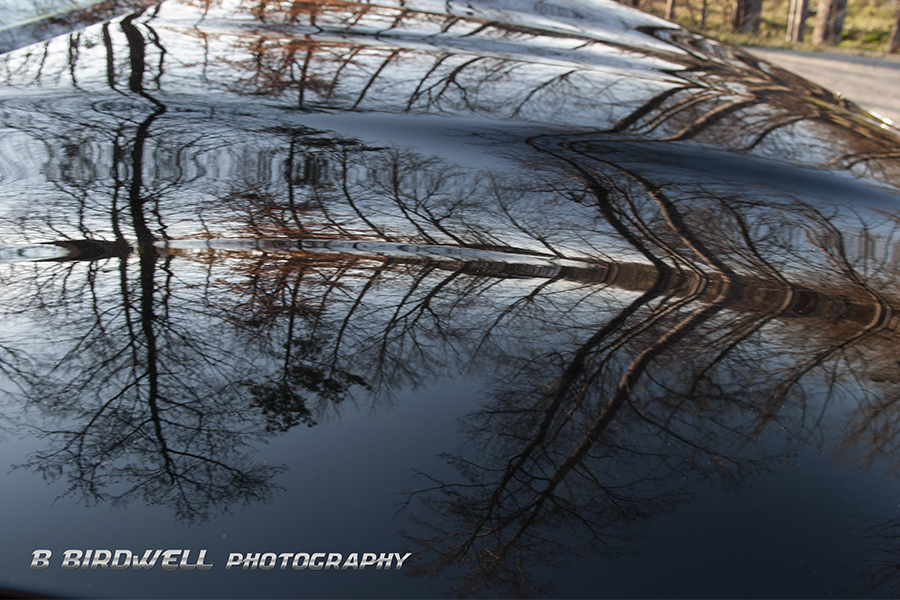 Name:  B38_5215Hood_zpsf1025c49.jpg
Views: 52
Size:  517.0 KB