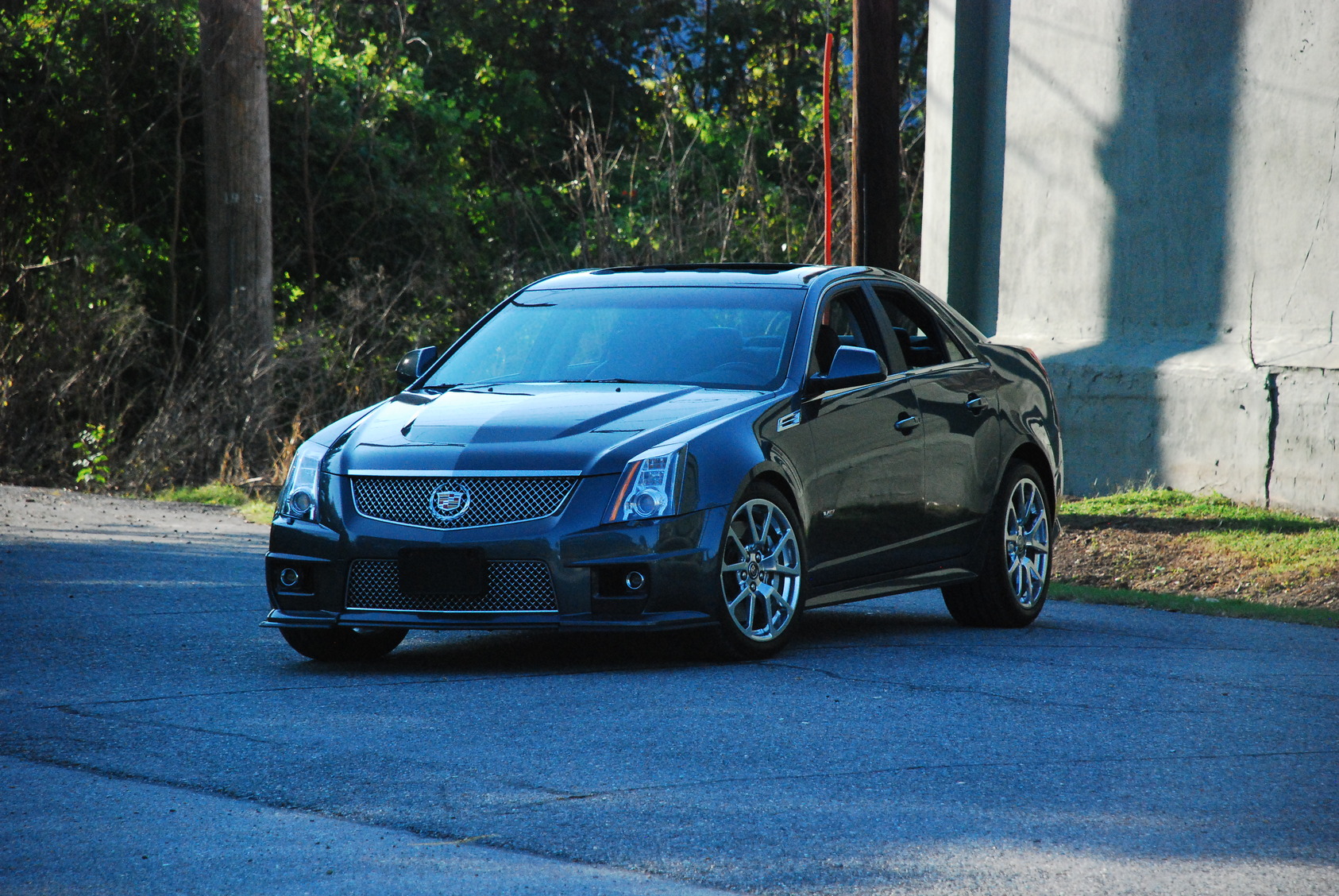 Name:  DSC_0233.jpg
Views: 79
Size:  702.9 KB
