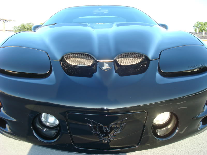 Name: 8-12-09075.jpg
Views: 282
Size: 86.7 KB
