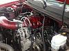 Engine Bay Thread!!!-img_2524.jpg