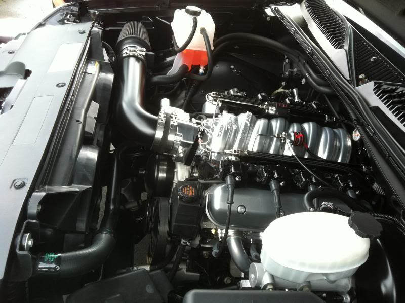 Name:  motor.jpg
Views: 289
Size:  72.4 KB