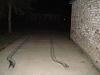 somebody got got! one bad c10, it was you-dsc00161.jpg