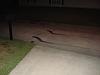 somebody got got! one bad c10, it was you-dsc00163.jpg