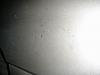 I should have quit when i was ahead...-mvc-004f.jpg