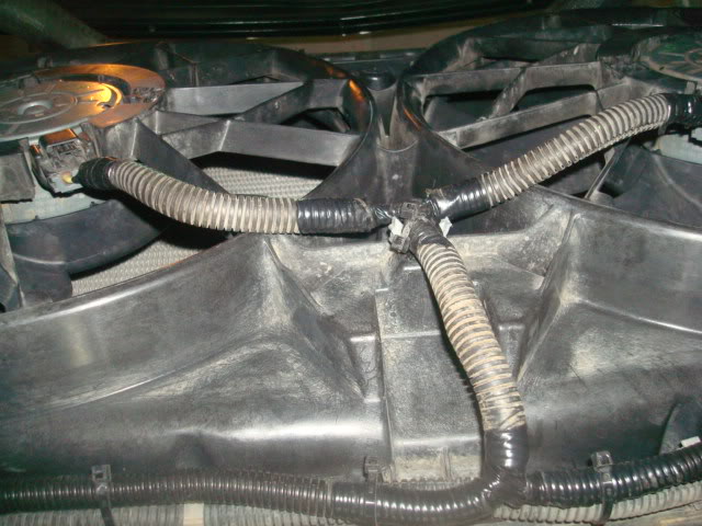Name:  DSC03177.jpg
Views: 21969
Size:  63.1 KB