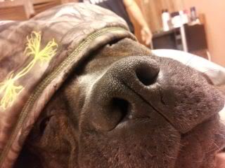 Name: 20131110_074757.jpg
Views: 27
Size: 15.1 KB
