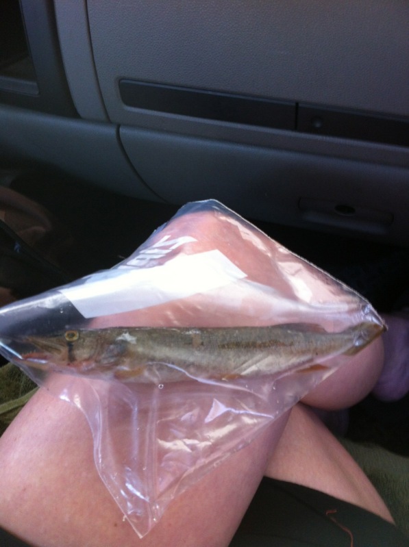 Name:  IMG_5975.jpg
Views: 27
Size:  91.9 KB