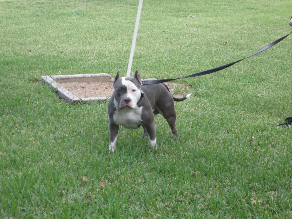 Name: IMG_1160.jpg
Views: 13
Size: 165.9 KB