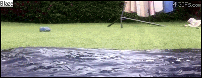 Name: Inslide.gif
Views: 23
Size: 954.6 KB