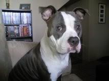 Name:  carbon1year-1.jpg
Views: 29
Size:  6.6 KB