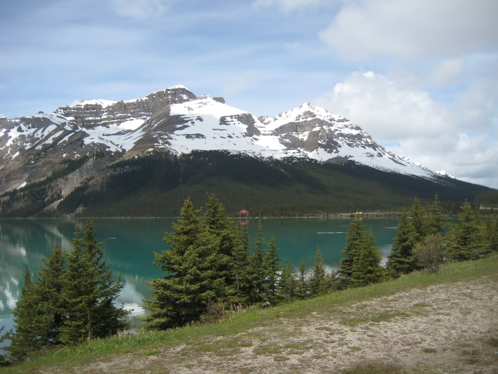Name:  IMG_2836.jpg
Views: 19
Size:  161.8 KB
