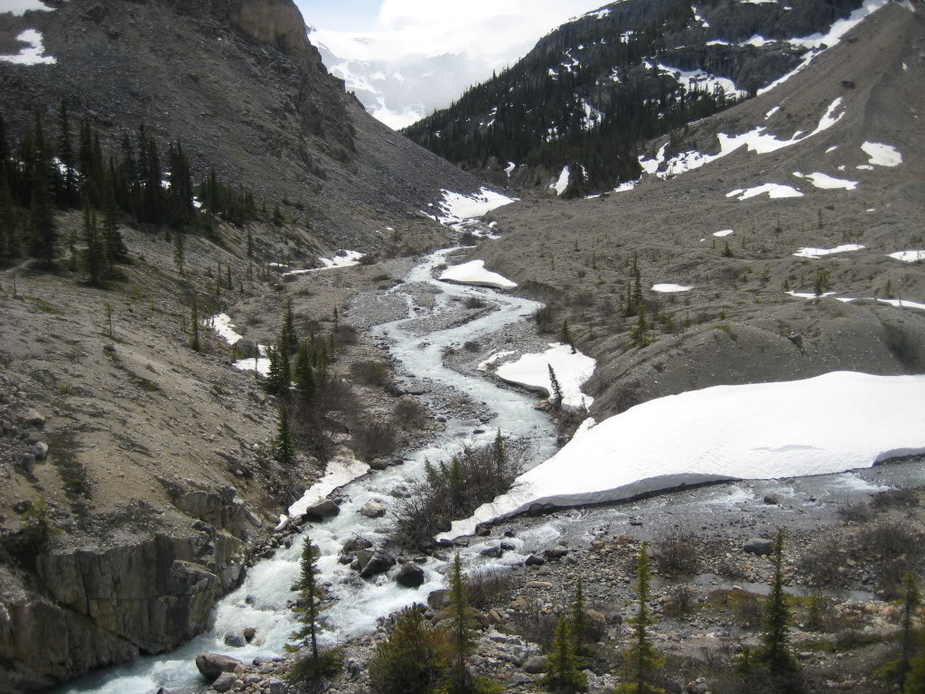 Name:  IMG_2862.jpg
Views: 17
Size:  232.0 KB