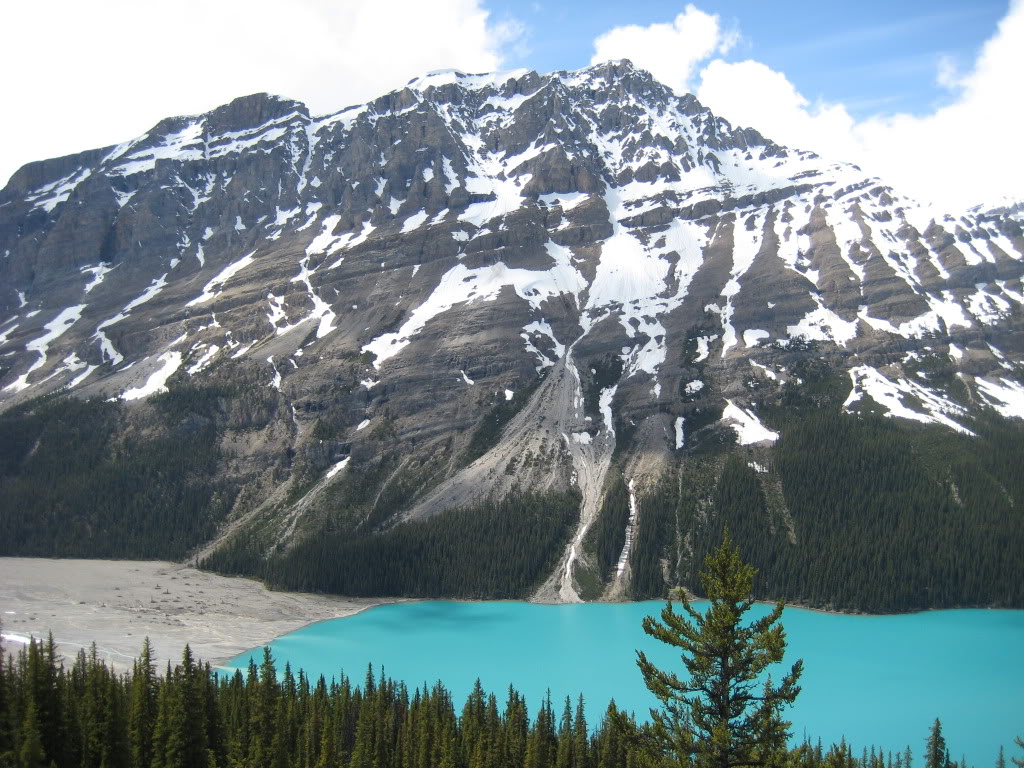 Name:  IMG_2867.jpg
Views: 16
Size:  202.3 KB