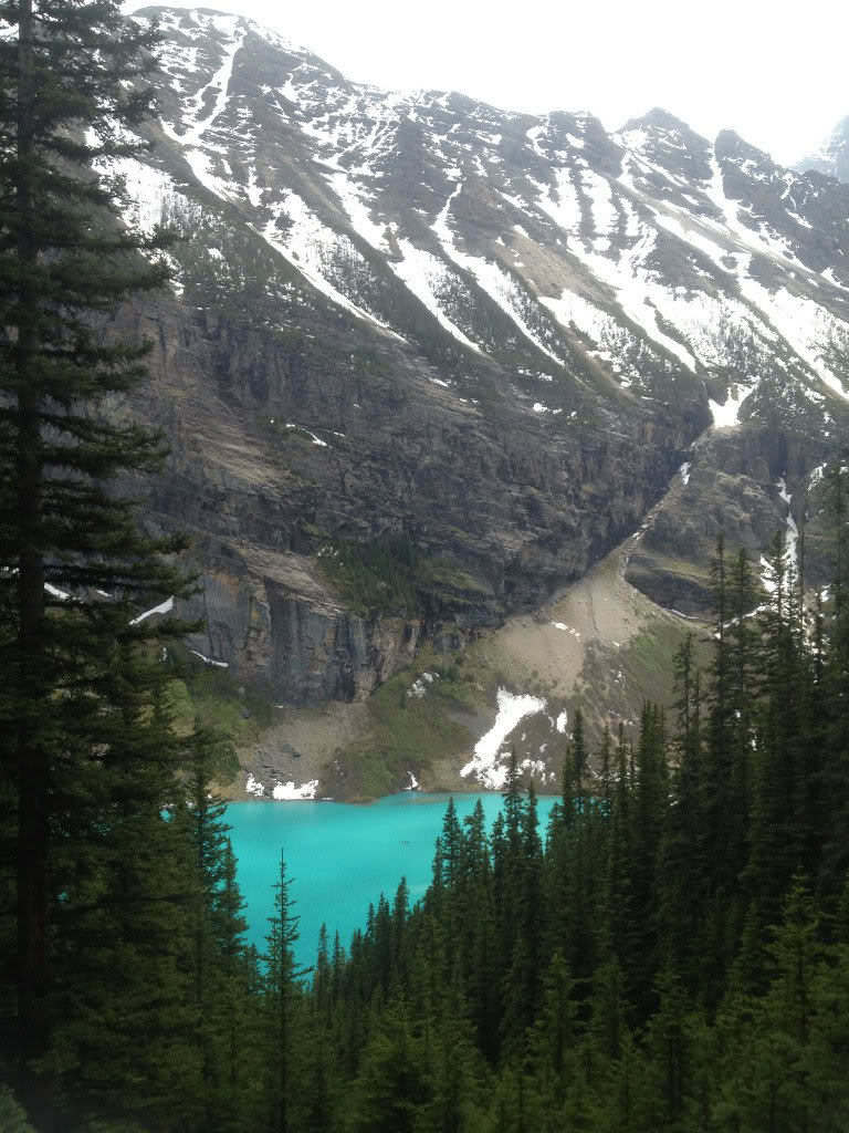 Name:  IMG_0339a.jpg
Views: 19
Size:  177.6 KB