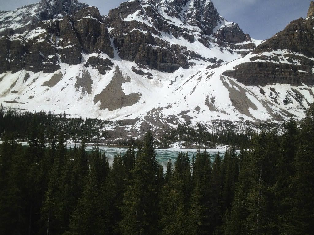 Name:  IMG_0358a.jpg
Views: 17
Size:  193.6 KB