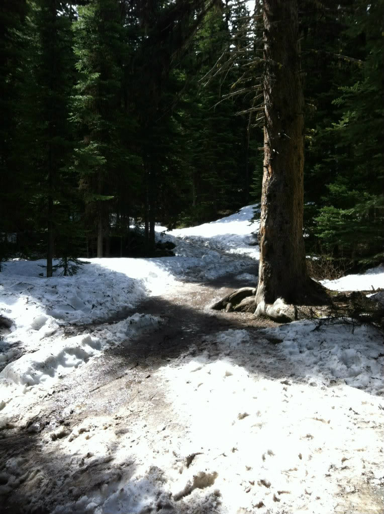 Name:  IMG_0553a.jpg
Views: 18
Size:  154.8 KB