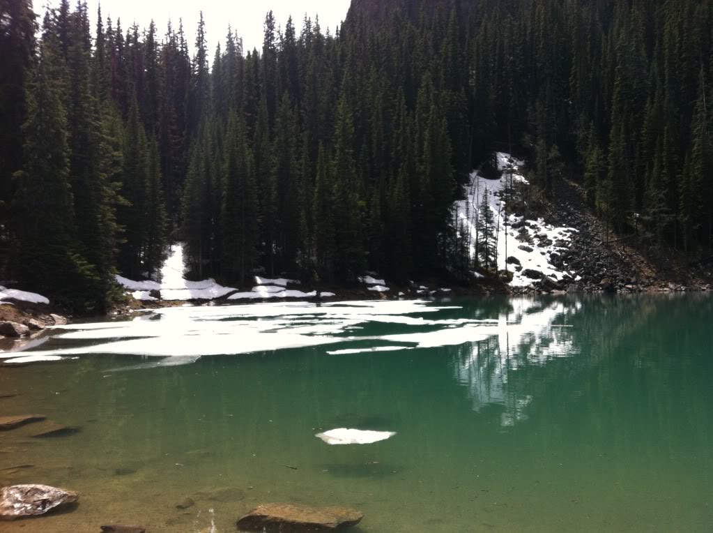 Name:  IMG_0554.jpg
Views: 17
Size:  121.1 KB