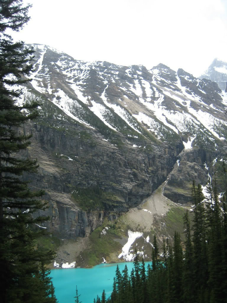 Name:  IMG_2799a.jpg
Views: 15
Size:  178.4 KB