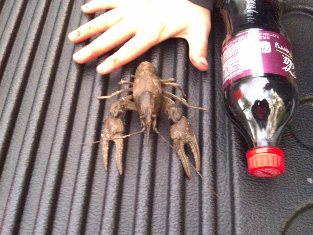 Name:  ResizedImage951334622770439.jpg
Views: 14
Size:  110.7 KB