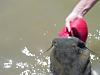 fish story-unknown-1-.jpg