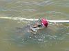 fish story-unknown-2-.jpg