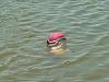 fish story-unknown-4-.jpg