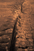 This is how we do it in Cali: Motorsports Sunday-san-.gif